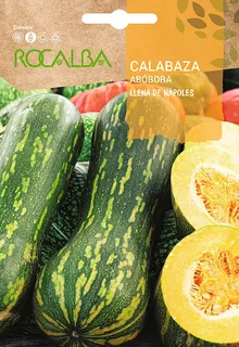 Semilla Calabaza Llena de Napoles 5 gr