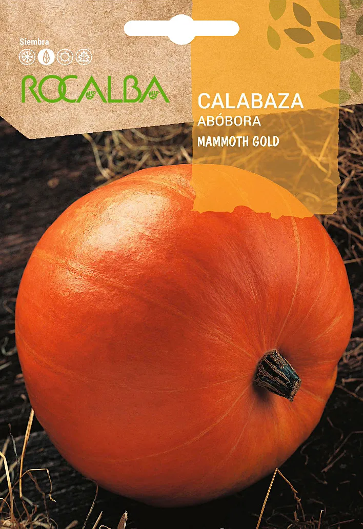 Semilla Calabaza Mammonth Gold 5 gr