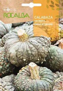 Semilla Calabaza Marina Di Chioggia 5 gr