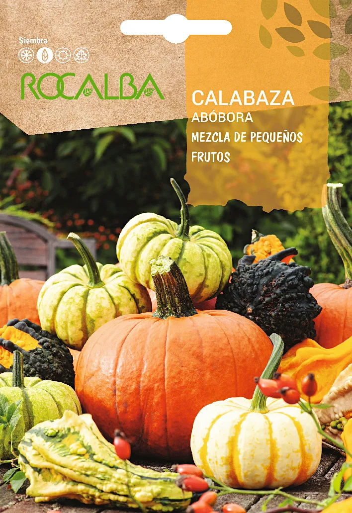 Semilla Calabaza Mezcla de Pequeños Frutos 3 gr