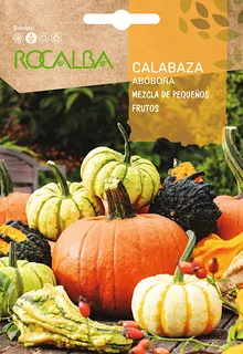 Semilla Calabaza Mezcla de Pequeños Frutos 3 gr