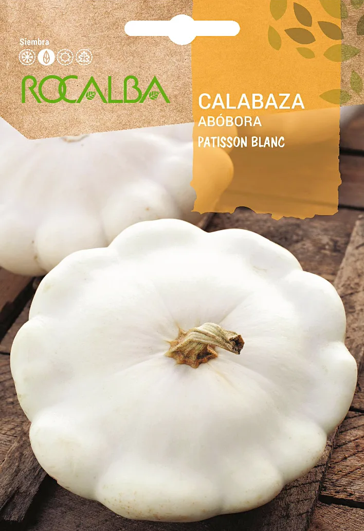 Semilla Calabaza Patisson Blanc 5 gr — foto principal