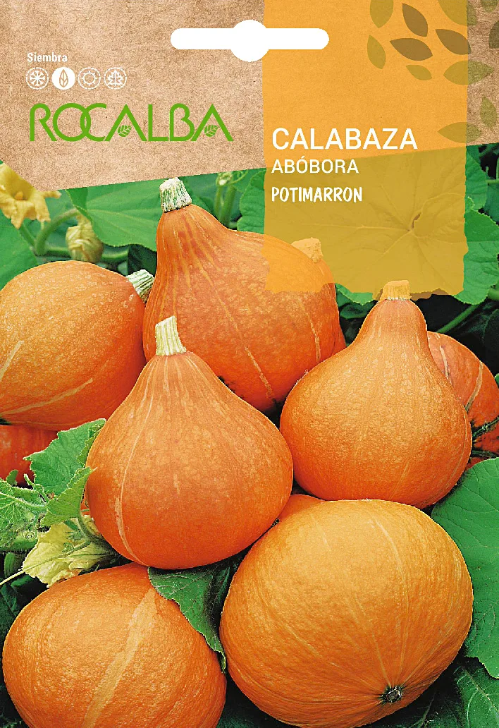 Semilla Calabaza Potimarron Uchiki Kuri 3 gr