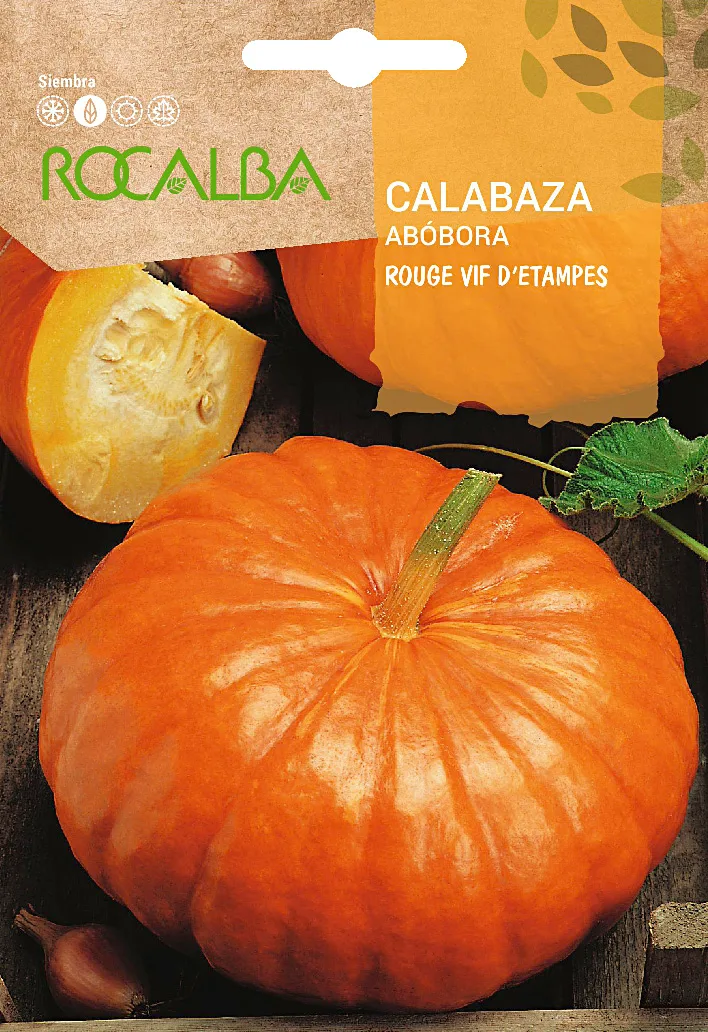 Semilla Calabaza Rouge Vif D´etampes 5 gr