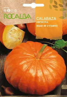 Semilla Calabaza Rouge Vif D´etampes 5 gr