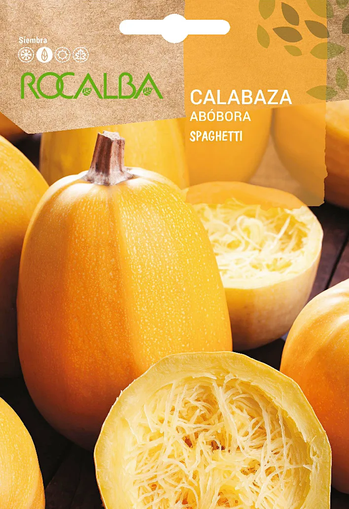 Semilla Calabaza Spaghetti 5 gr