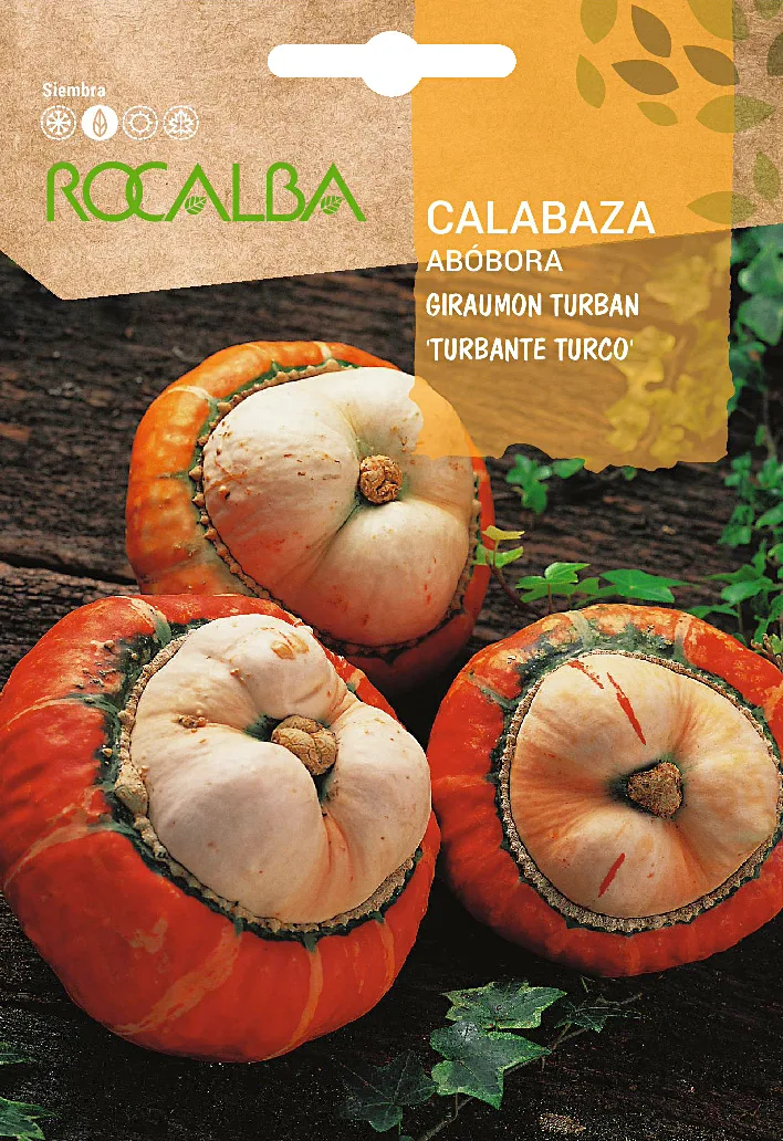 Semilla Calabaza Turbante Turco 5 gr