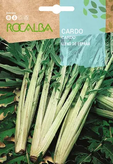 Semilla Cardo Lleno de España