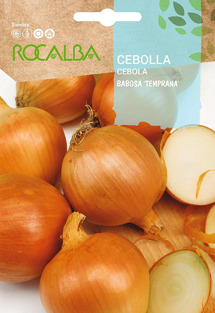Semilla Cebolla Babosa Temprana