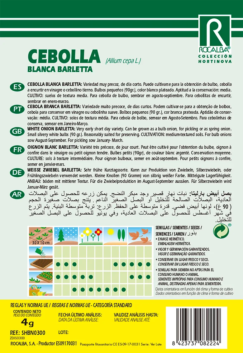 Semilla Cebolla Blanca Barletta — foto 2