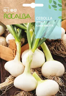 Semilla Cebolla Blanca Barletta
