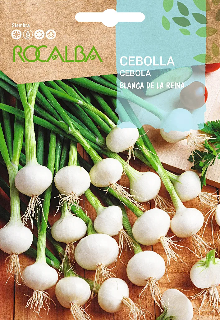 Semilla Cebolla blanca de la Reina