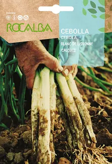 Semilla Cebolla Blanca Grande T. Lerida (Calçot)