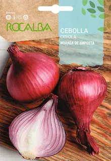 Semilla Cebolla Morada de Amposta
