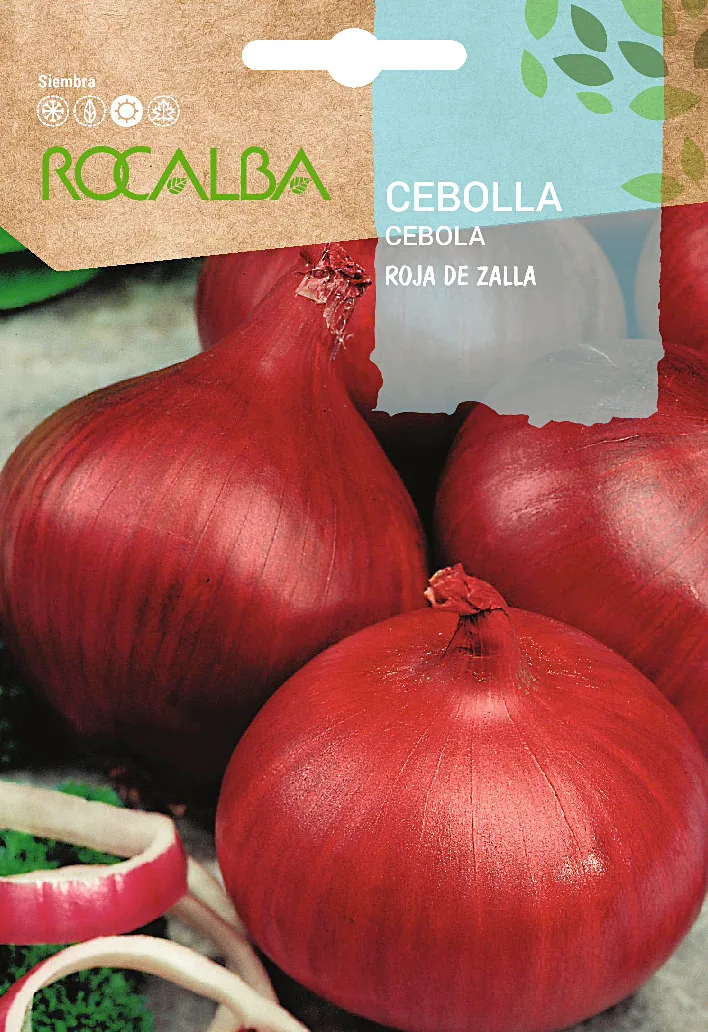 Semilla Cebolla Roja de Zalla