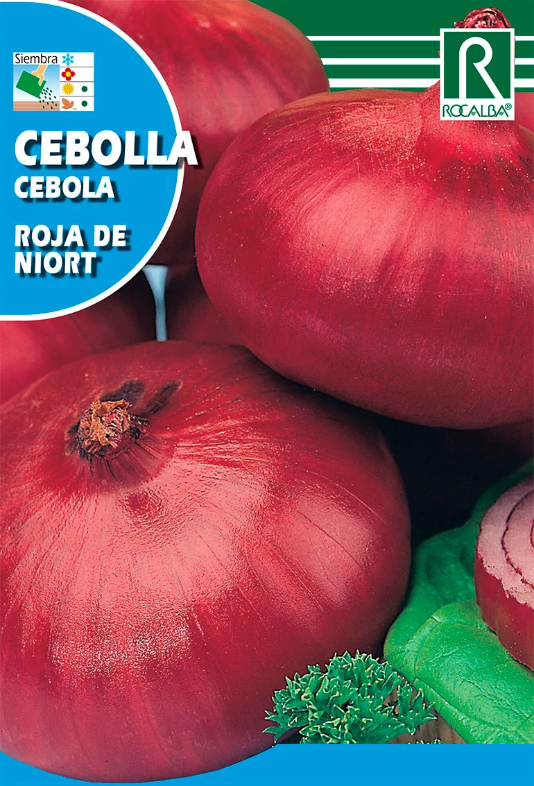Semilla Cebolla Roja de Zalla 100 gr — foto principal