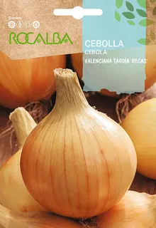 Semilla Cebolla Valenciana Recas
