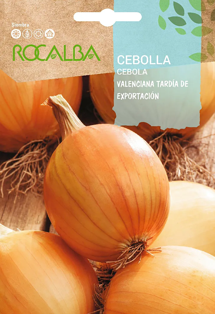 Semilla Cebolla Valenciana Tardia de Exportacion