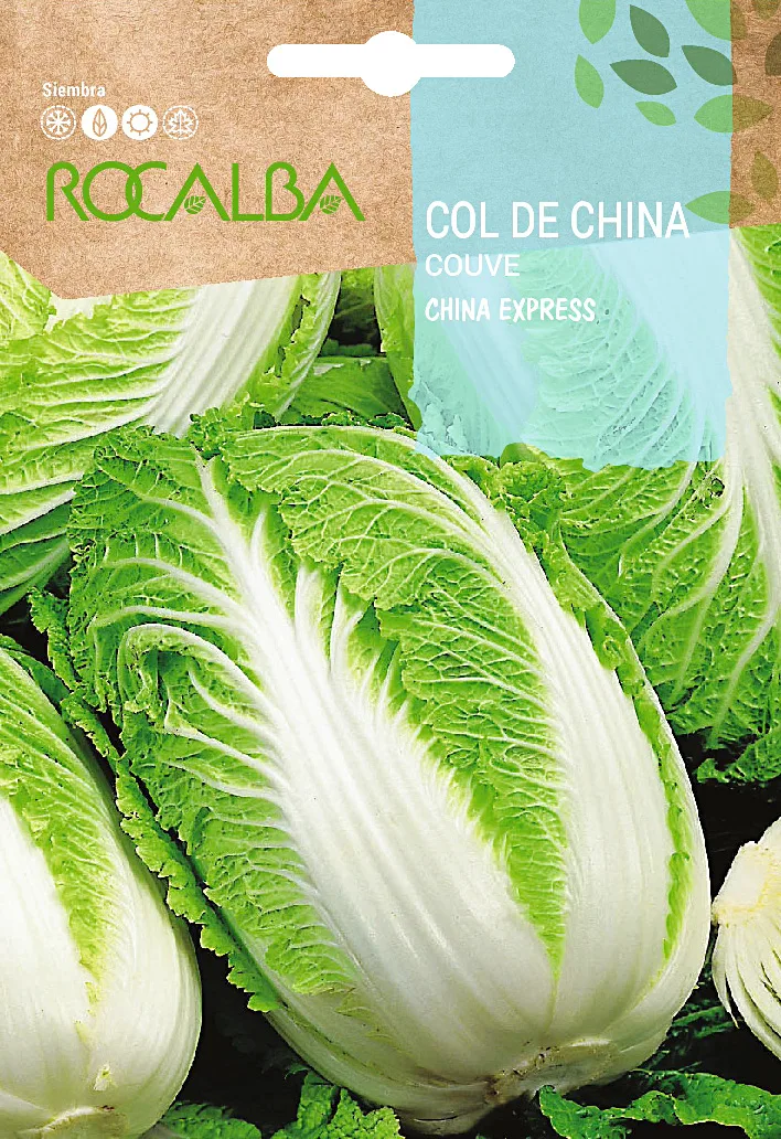 Semilla Col China Express