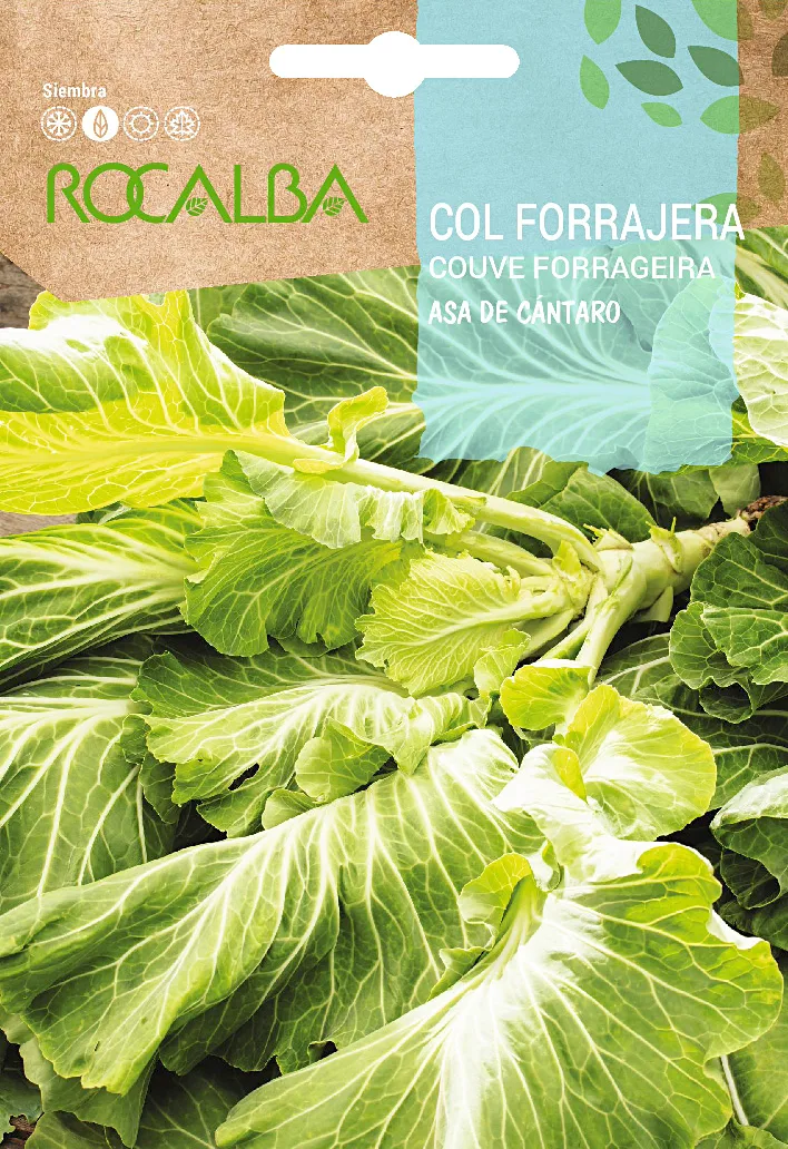 Semilla Col Forrajera Asa de Cantaro