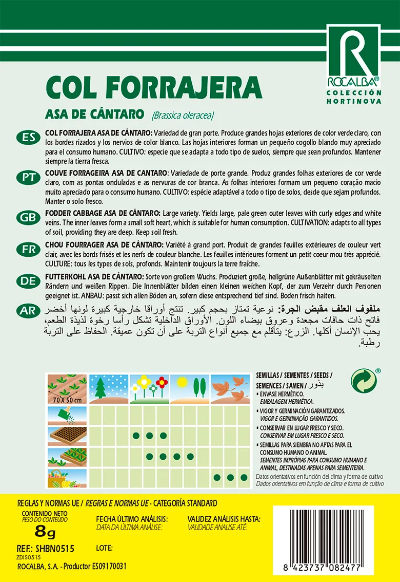 Semilla Col Forrajera Asa de Cantaro — foto 2