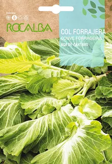 Semilla Col Forrajera Asa de Cantaro