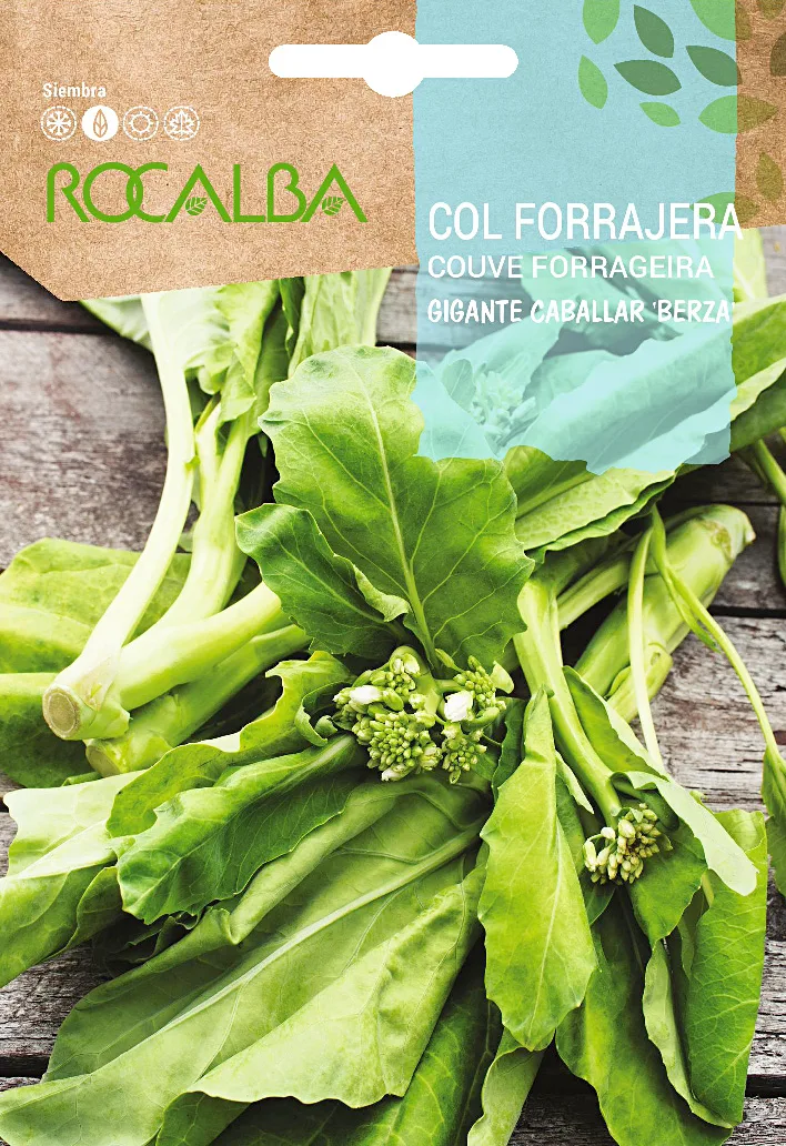 Semilla Col Forrajera Gigante Caballar Berza