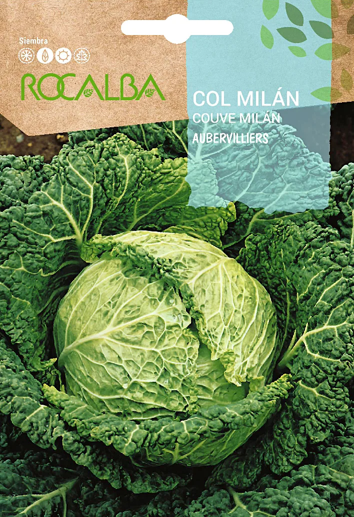 Semilla Col Milan de Aubervilliers — foto principal