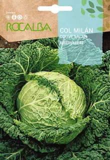 Semilla Col Milan de Aubervilliers