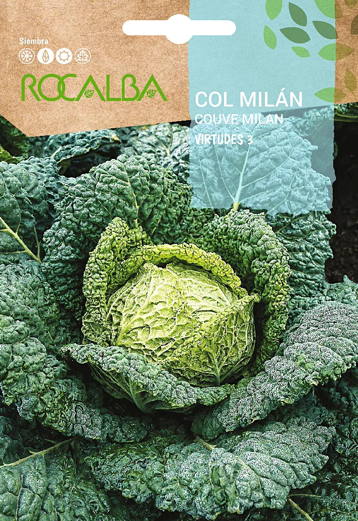 Semilla Col Milan Virtudes 3