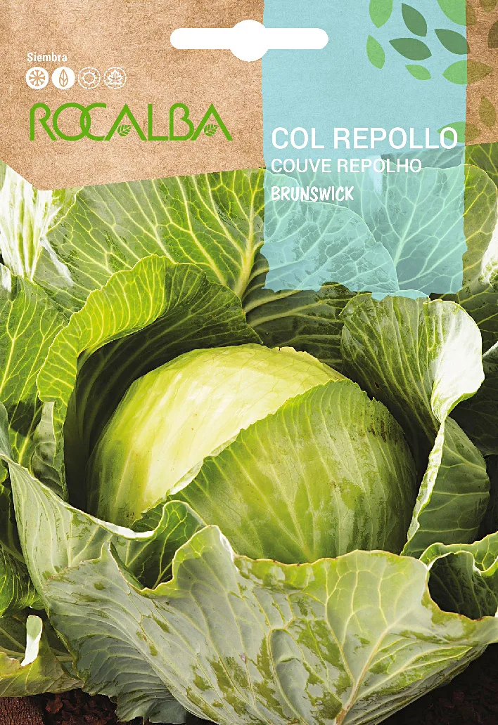 Semilla Col Repollo Brunswick