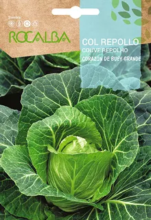 Semilla Col Repollo Corazon de Buey Grande