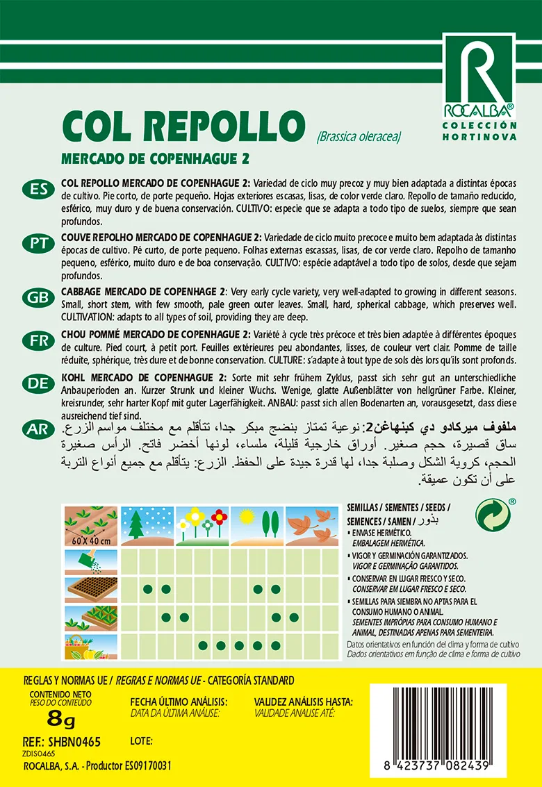 Semilla Col Repollo Mercado de Copenhague 2 — foto 2