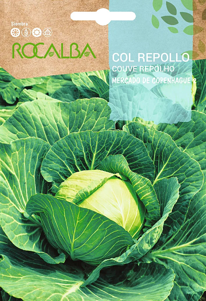 Semilla Col Repollo Mercado de Copenhague 2