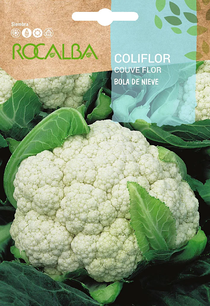 Semilla Coliflor Bola de Nieve