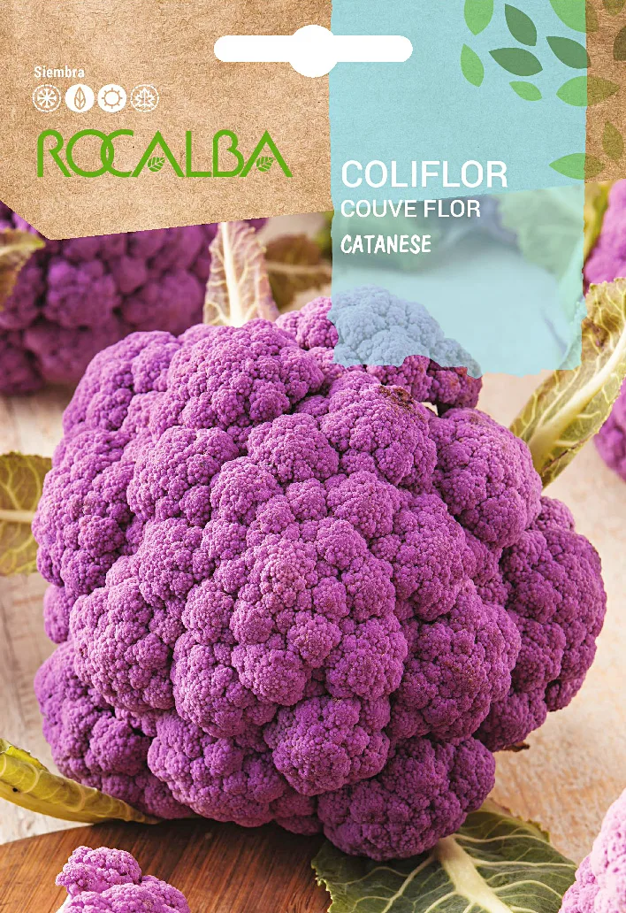 Semilla Coliflor Catanese