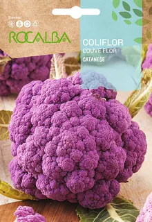 Semilla Coliflor Catanese