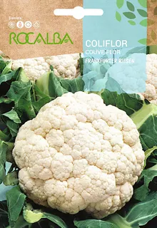 Semilla Coliflor Frankfurter Riesen