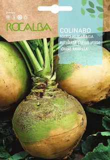 Semilla Colinabo Rutabaga de Cuello Verde