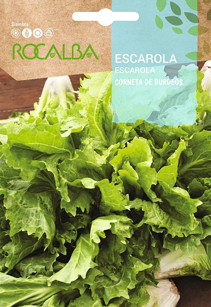 Semilla Escarola Corneta de Burdeos