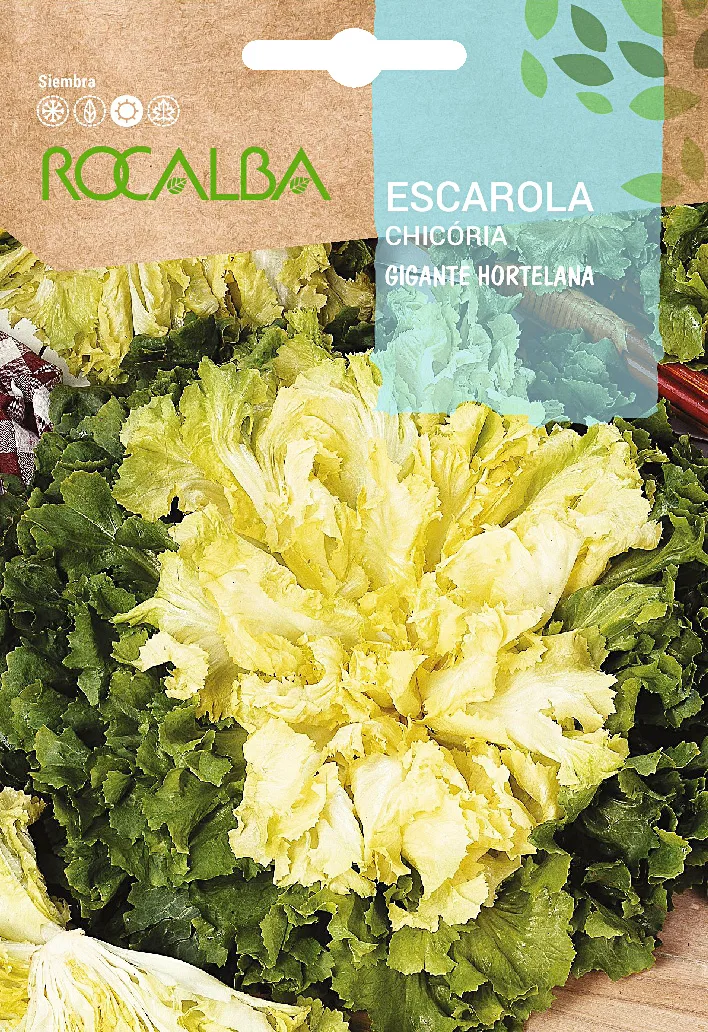 Semilla Escarola Gigante Hortelana (maraichere) — foto principal
