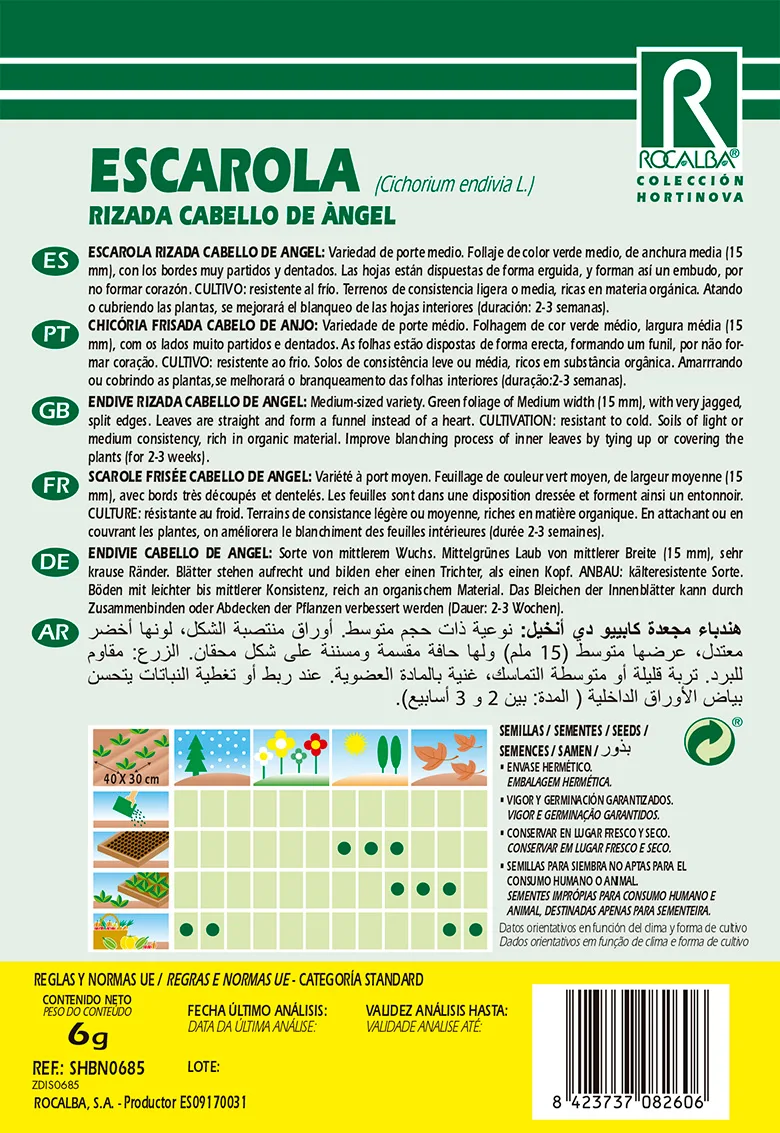 Semilla Escarola Rizada Cabello de Angel — foto 2