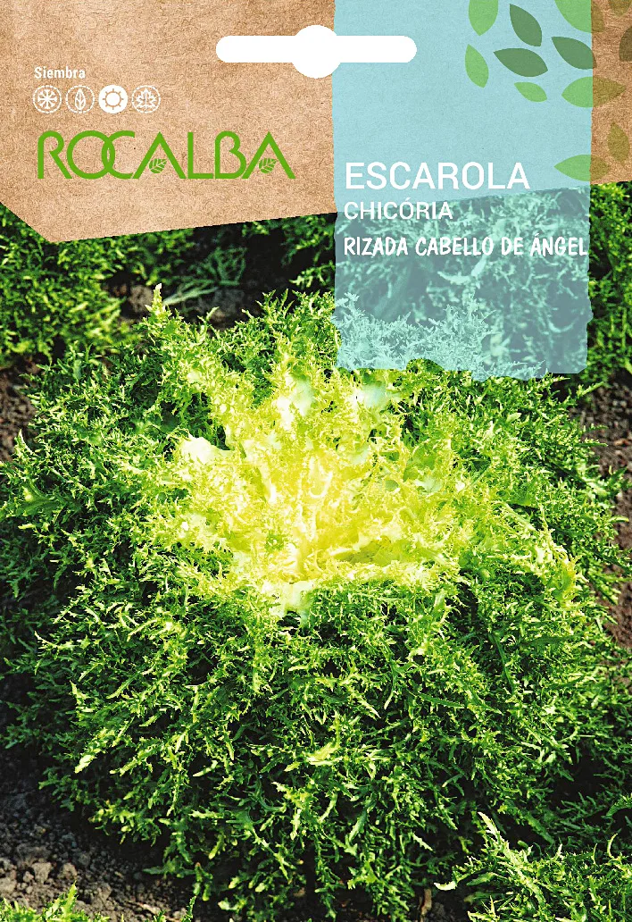 Semilla Escarola Rizada Cabello de Angel — foto principal