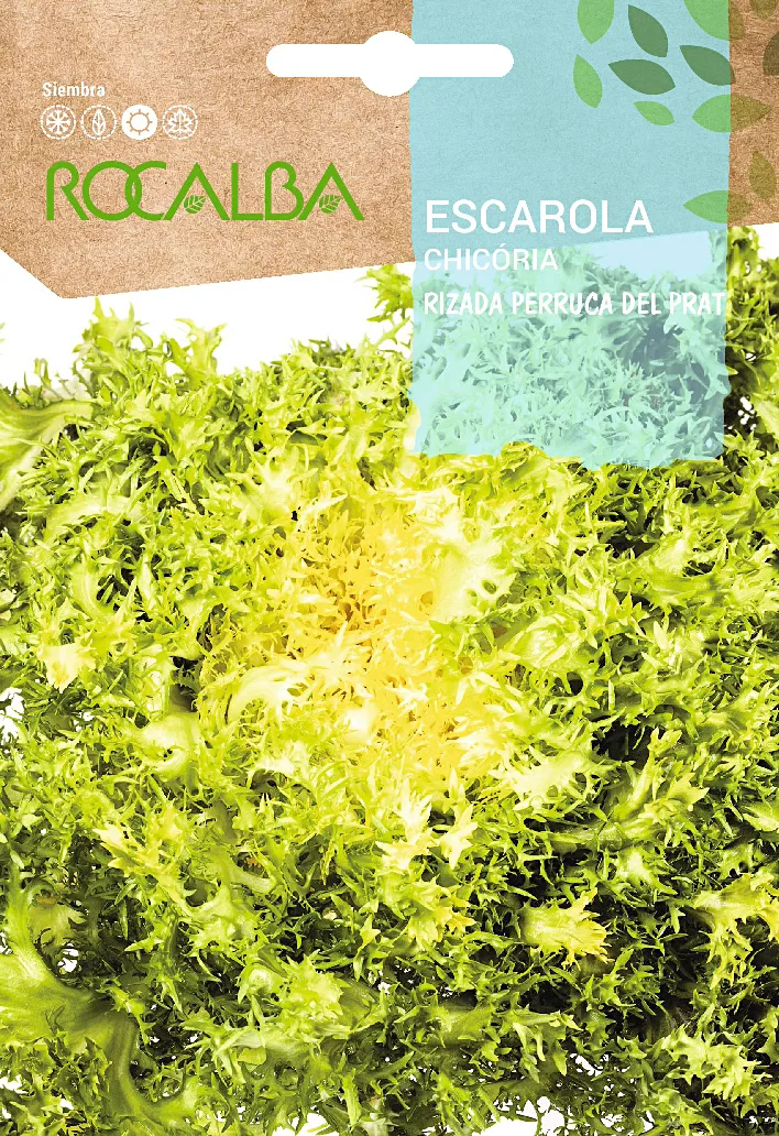 Semilla Escarola Rizada Perruca del Prat