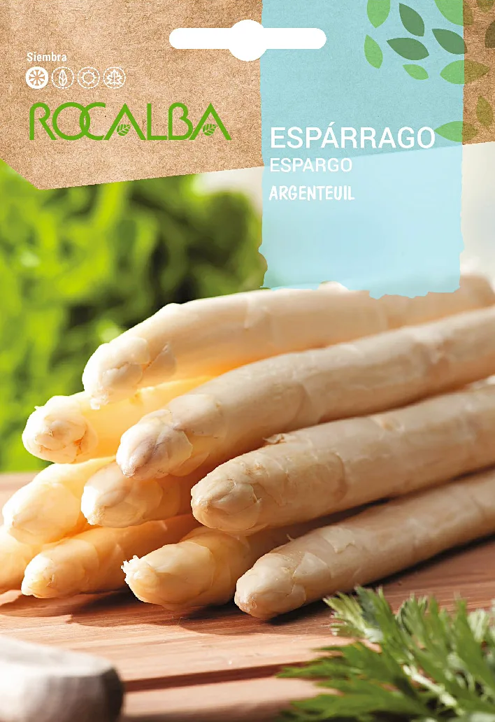 Semilla Esparrago Argenteuil (blanco Grueso) — foto principal