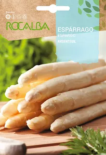 Semilla Esparrago Argenteuil (blanco Grueso)