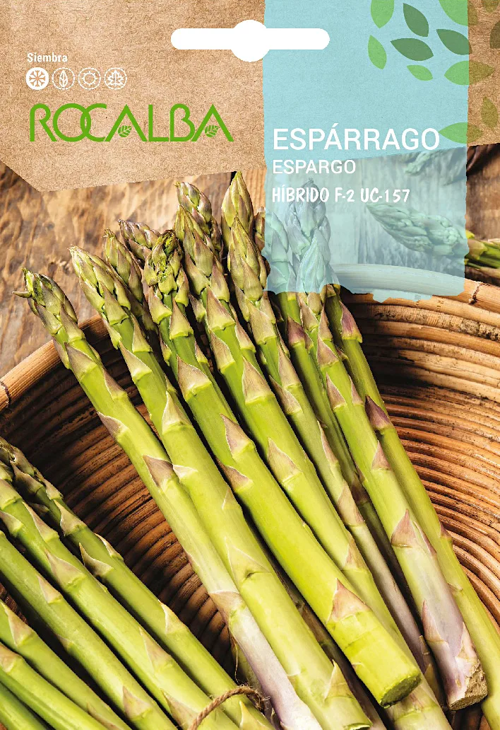 Semilla Esparrago Hibrido F-2 Uc-157 — foto principal