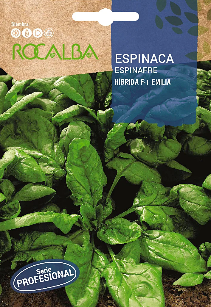 Semilla Profesional Espinaca Hibrida F1 Emilia