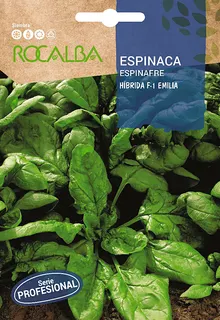 Semilla Profesional Espinaca Hibrida F1 Emilia