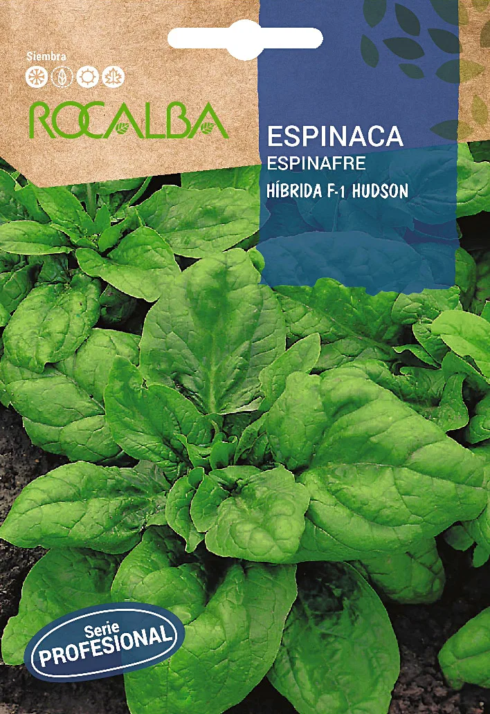 Semilla Profesional Espinaca Hibrida F1 Hudson